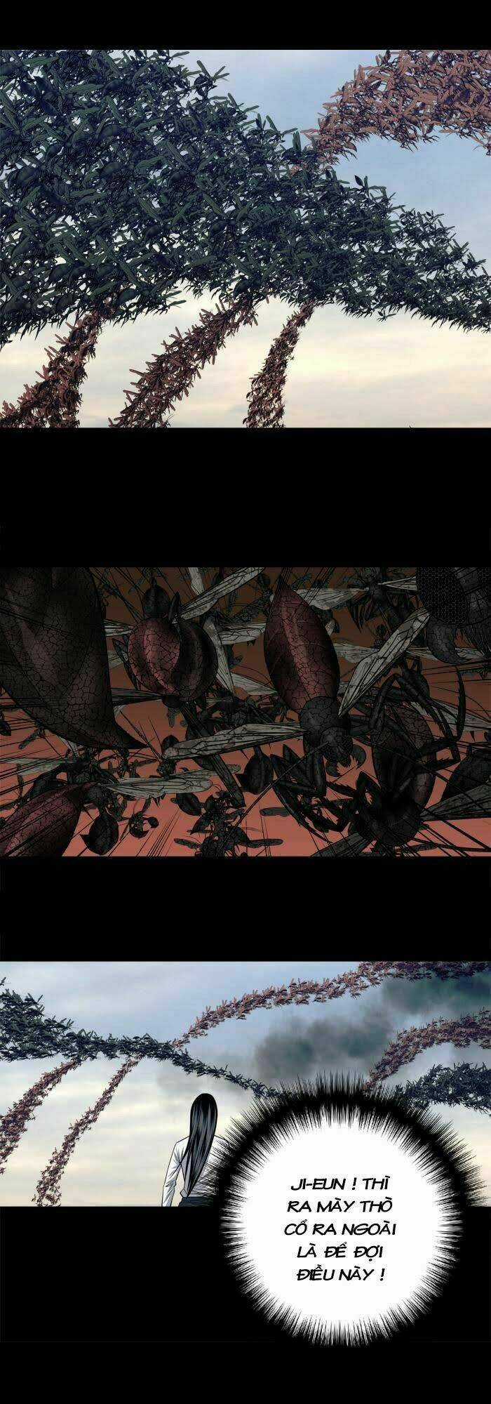 THẢM HỌA ONG ĐỘC - Chapter 227 - Trang 17