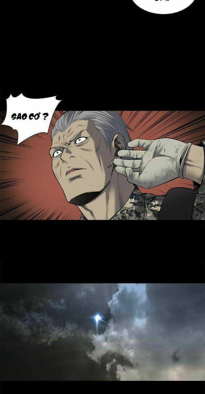 THẢM HỌA ONG ĐỘC - Chapter 228 - Trang 4