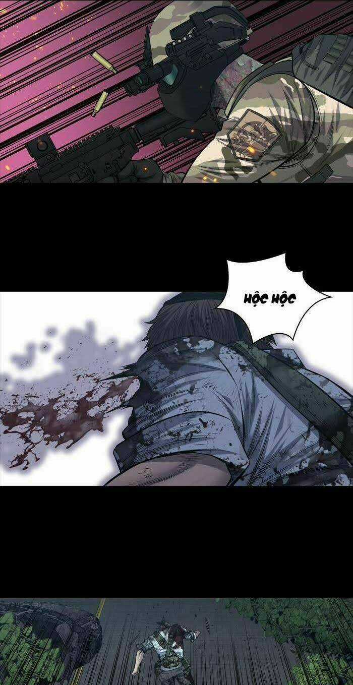 THẢM HỌA ONG ĐỘC - Chapter 229 - Trang 12