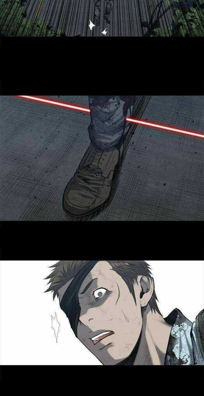 THẢM HỌA ONG ĐỘC - Chapter 229 - Trang 13