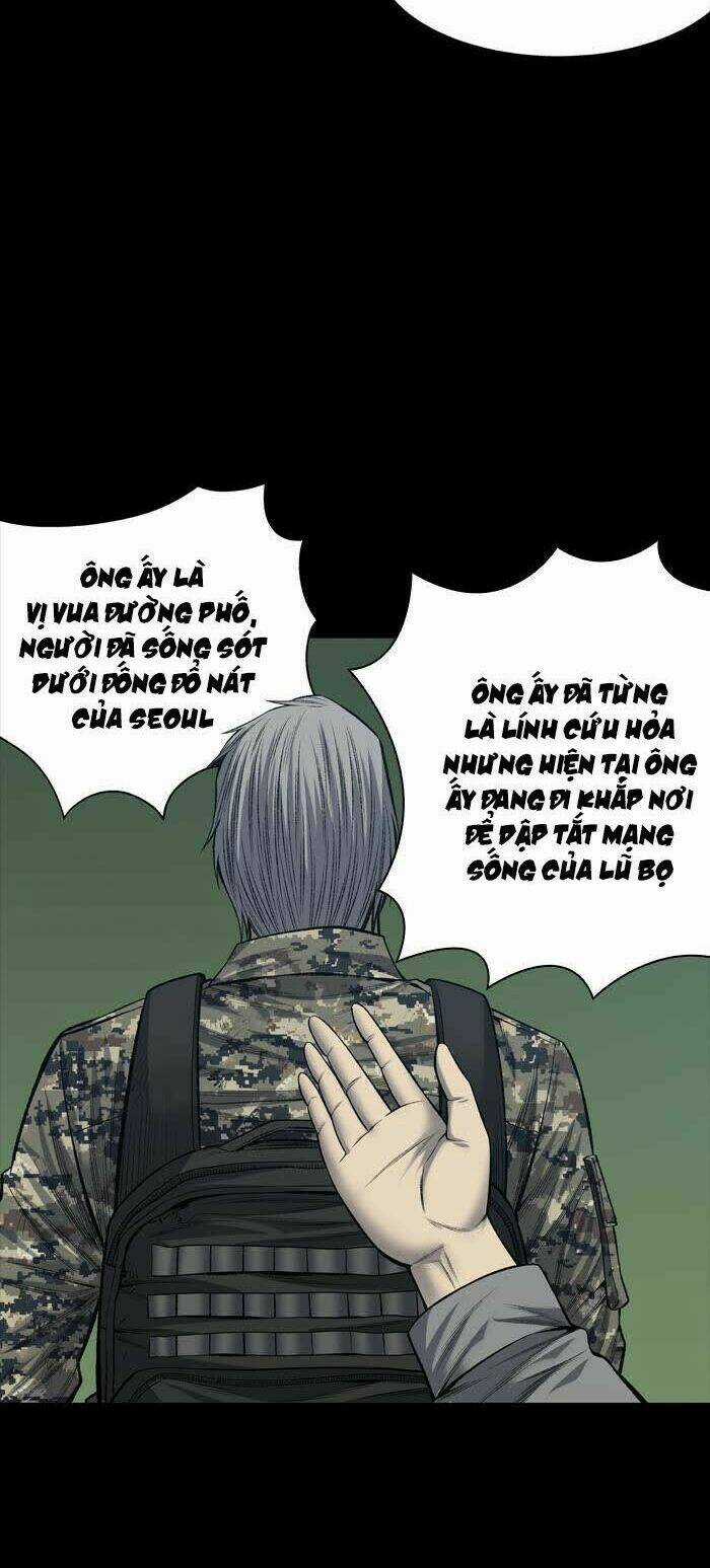 THẢM HỌA ONG ĐỘC - Chapter 229 - Trang 32