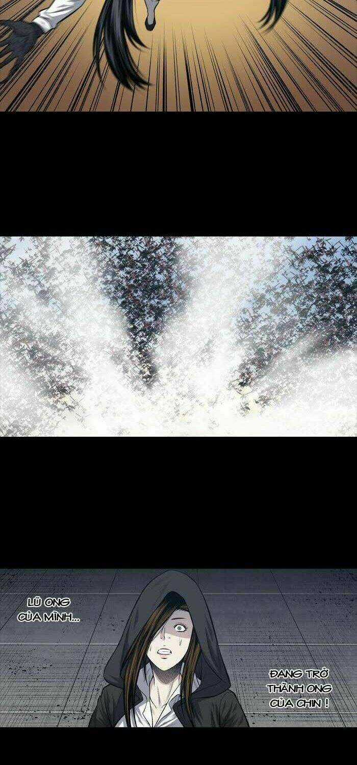 THẢM HỌA ONG ĐỘC - Chapter 230 - Trang 11