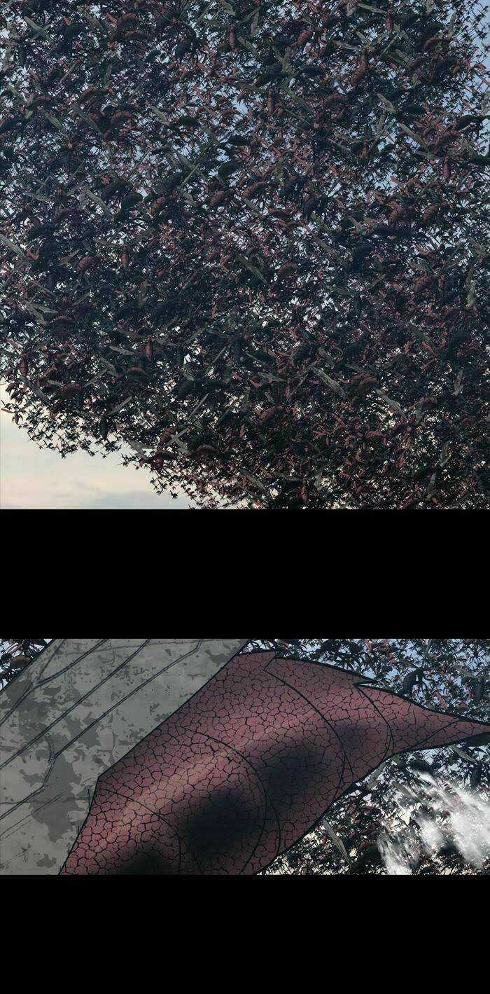 THẢM HỌA ONG ĐỘC - Chapter 230 - Trang 3