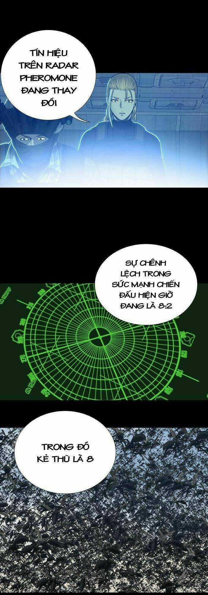 THẢM HỌA ONG ĐỘC - Chapter 230 - Trang 23