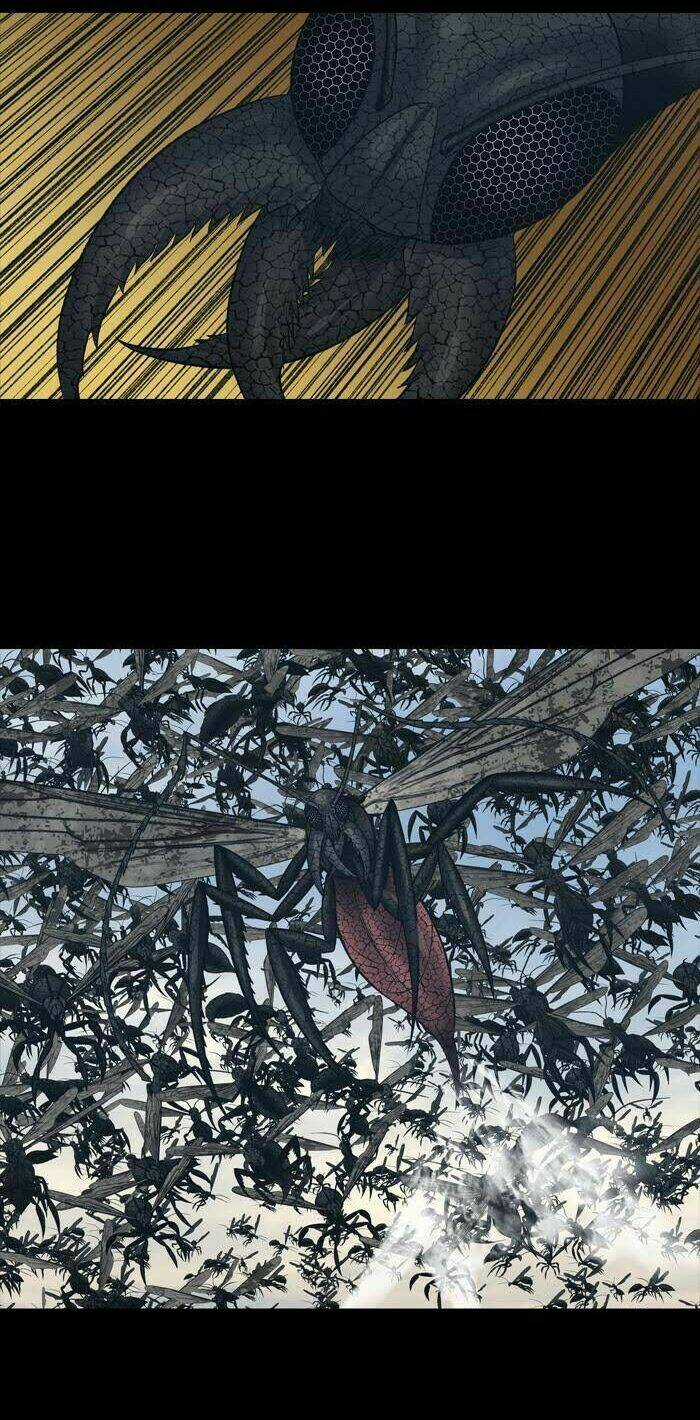 THẢM HỌA ONG ĐỘC - Chapter 230 - Trang 4