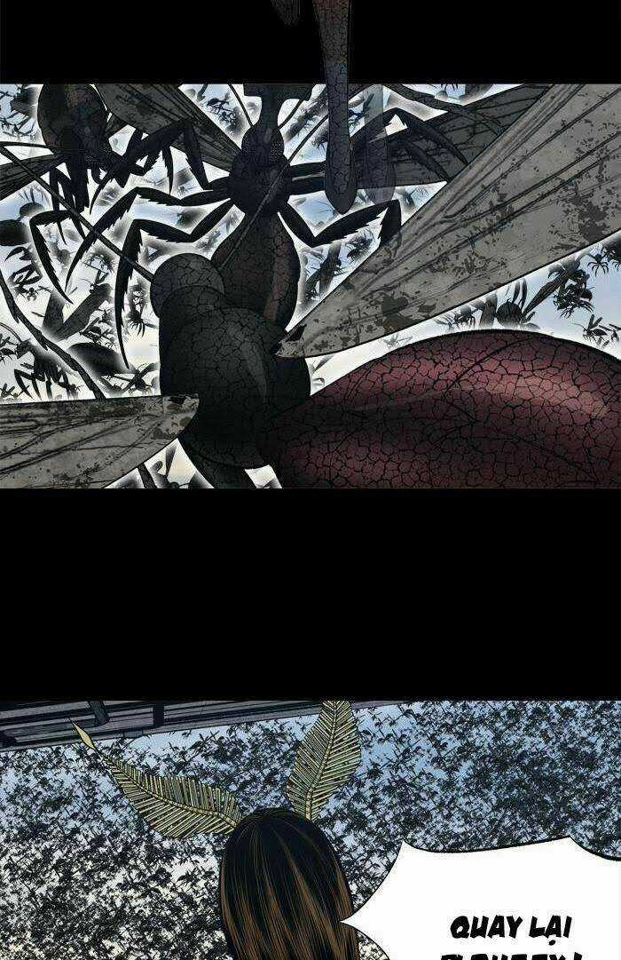 THẢM HỌA ONG ĐỘC - Chapter 231 - Trang 12