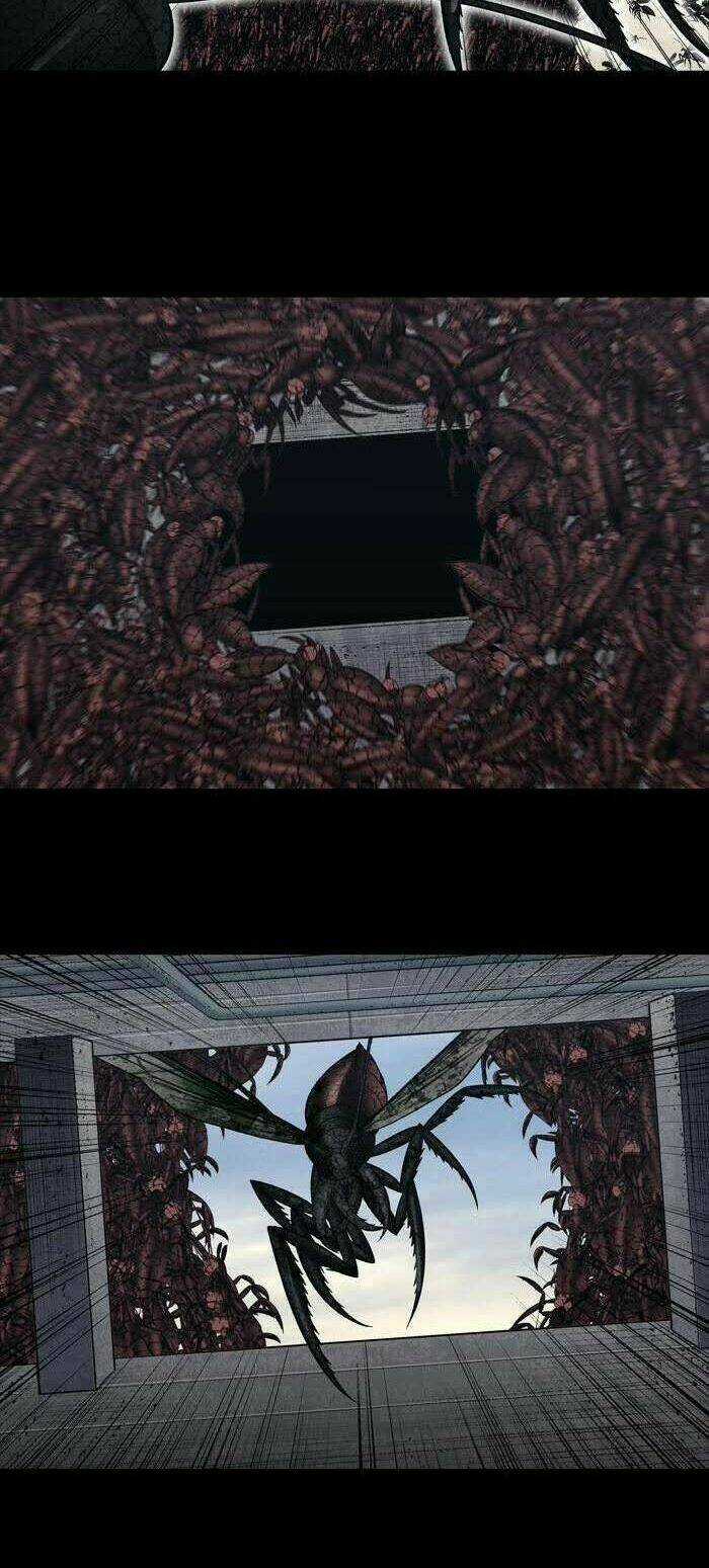 THẢM HỌA ONG ĐỘC - Chapter 231 - Trang 17