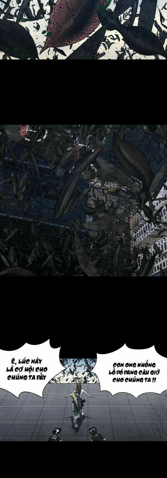 THẢM HỌA ONG ĐỘC - Chapter 231 - Trang 3