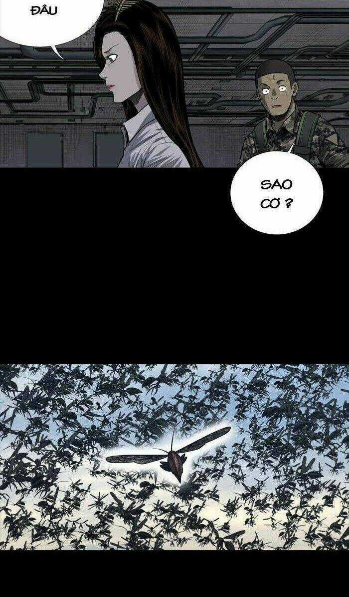 THẢM HỌA ONG ĐỘC - Chapter 232 - Trang 13