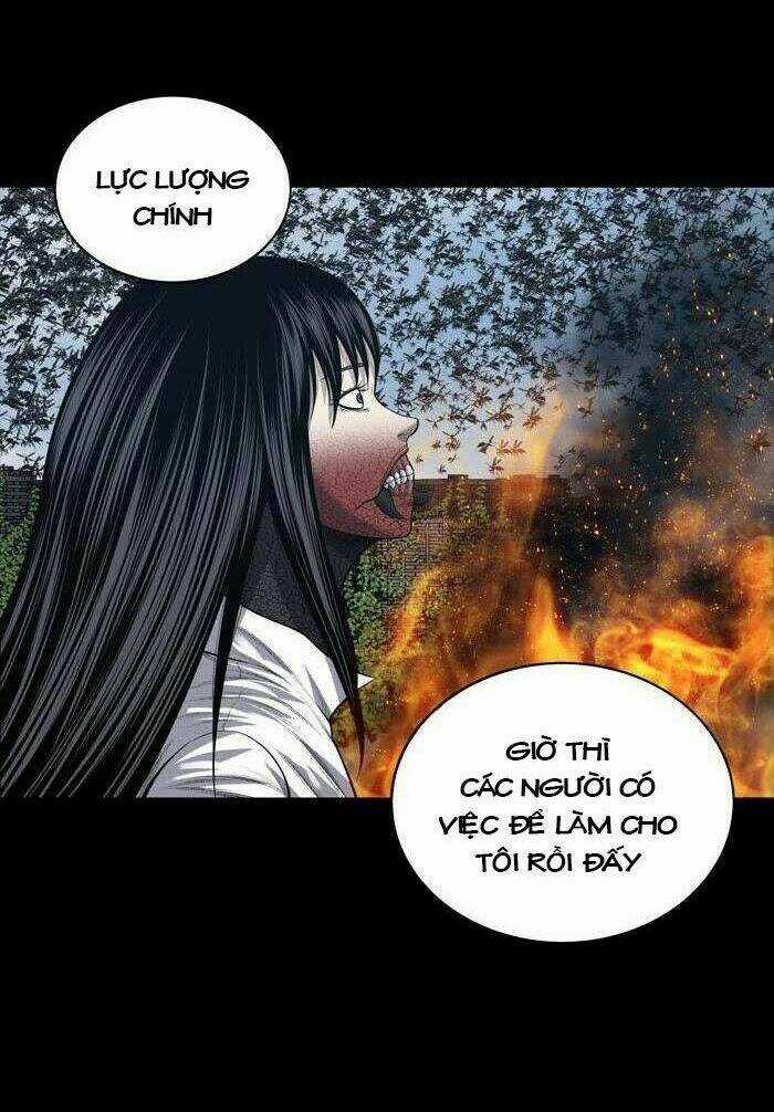 THẢM HỌA ONG ĐỘC - Chapter 232 - Trang 17