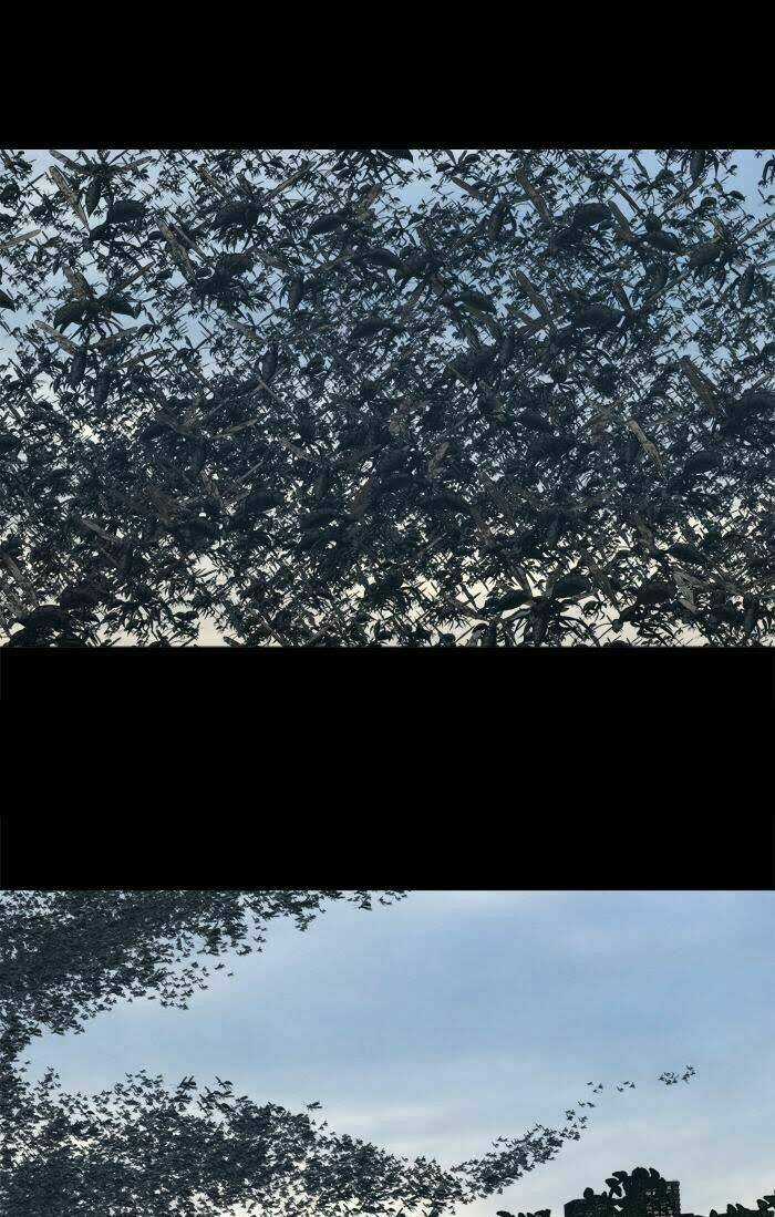 THẢM HỌA ONG ĐỘC - Chapter 232 - Trang 20