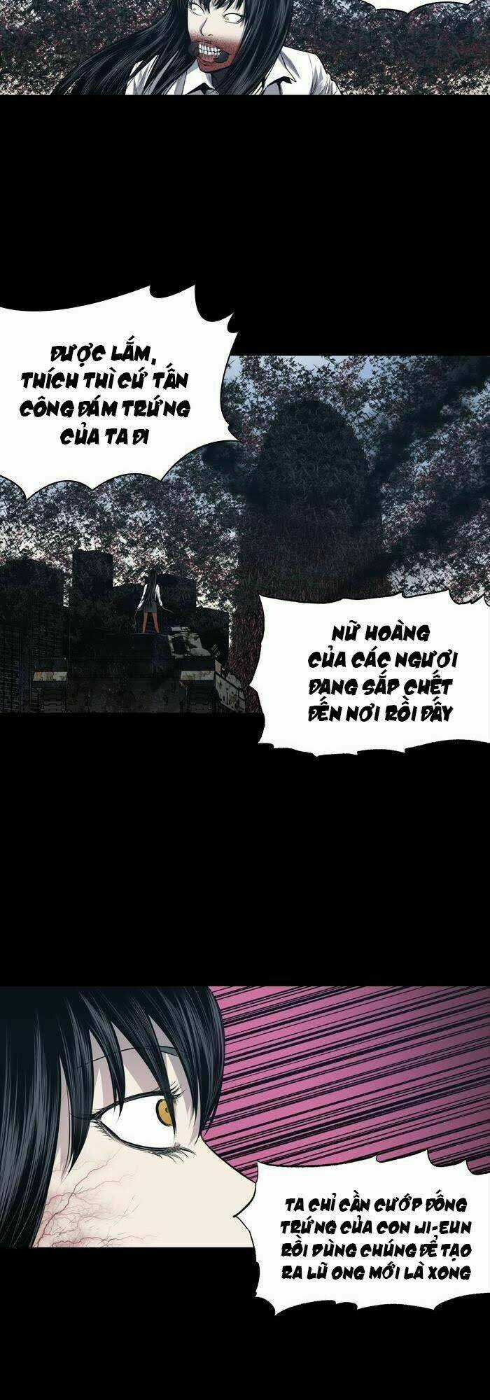 THẢM HỌA ONG ĐỘC - Chapter 232 - Trang 7