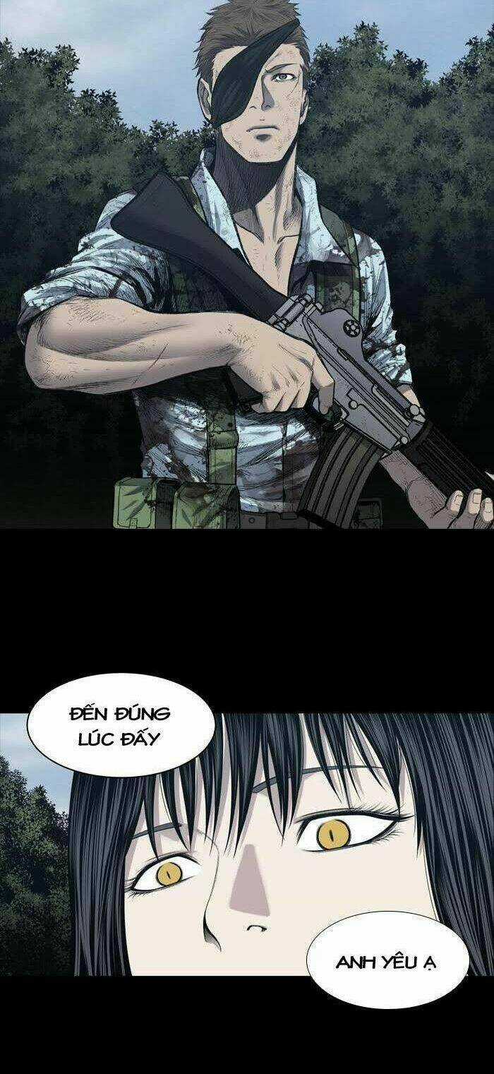 THẢM HỌA ONG ĐỘC - Chapter 233 - Trang 25