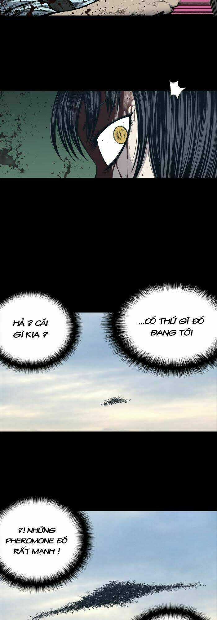 THẢM HỌA ONG ĐỘC - Chapter 233 - Trang 31