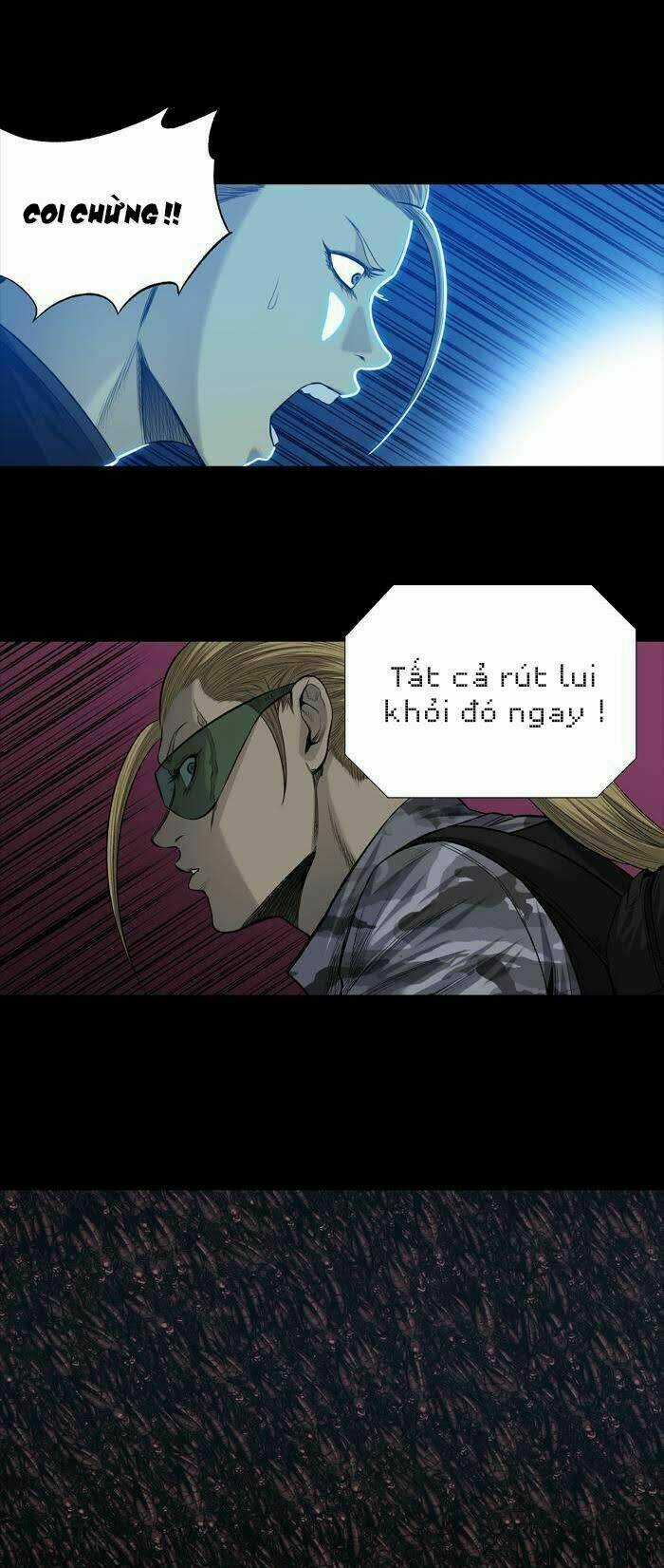 THẢM HỌA ONG ĐỘC - Chapter 233 - Trang 6