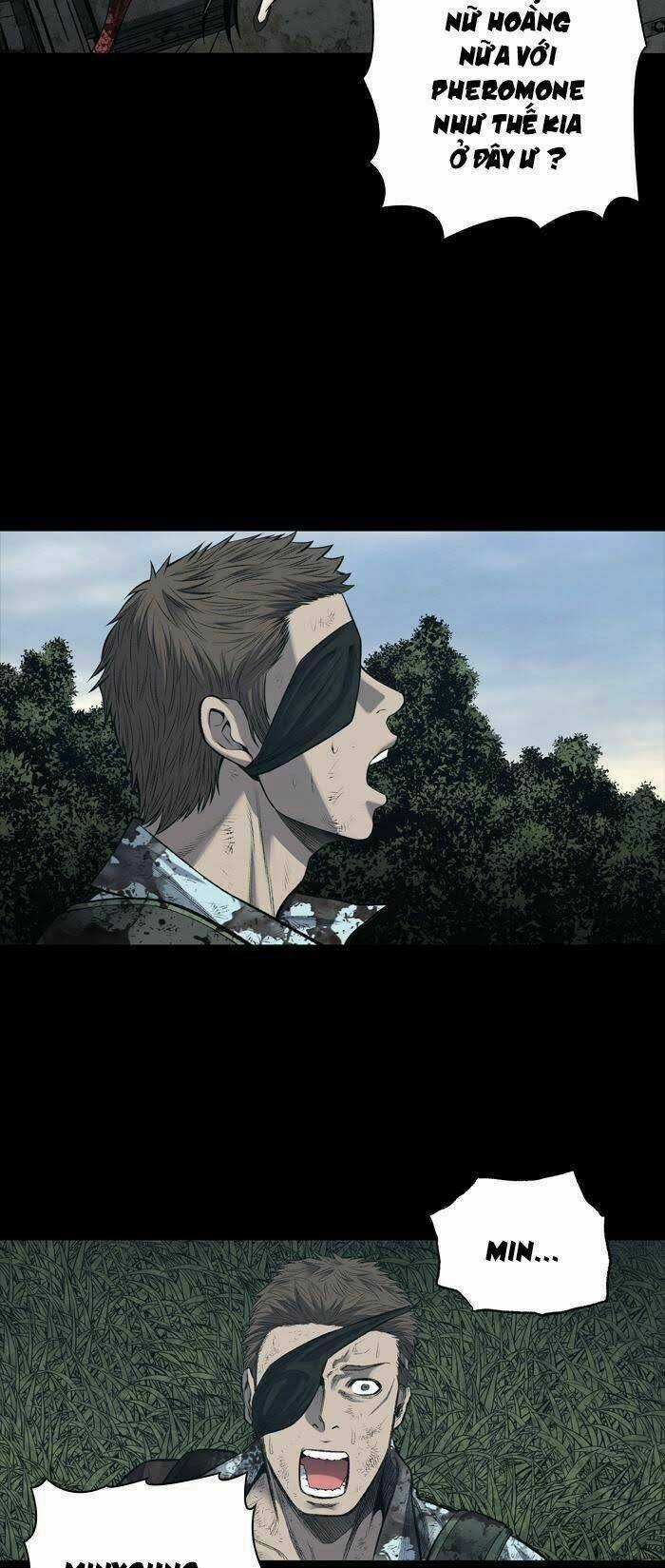 THẢM HỌA ONG ĐỘC - Chapter 234 - Trang 4