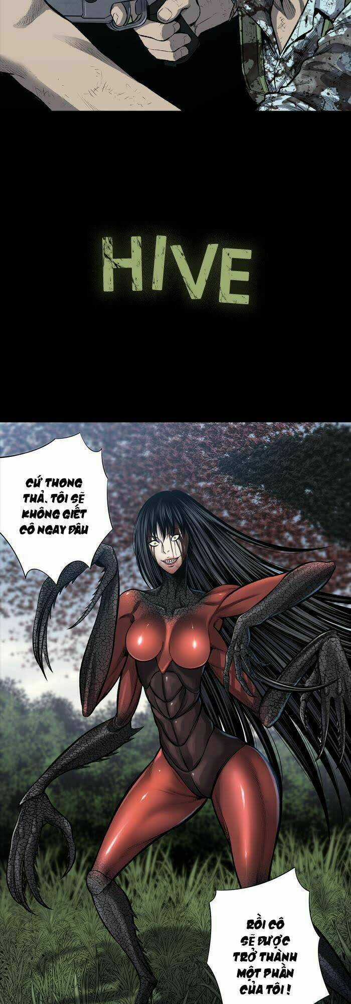 THẢM HỌA ONG ĐỘC - Chapter 235 - Trang 3