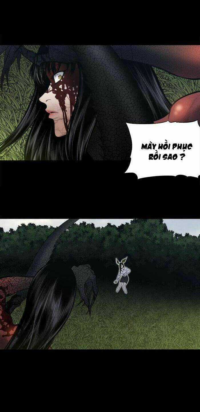 THẢM HỌA ONG ĐỘC - Chapter 236 - Trang 12