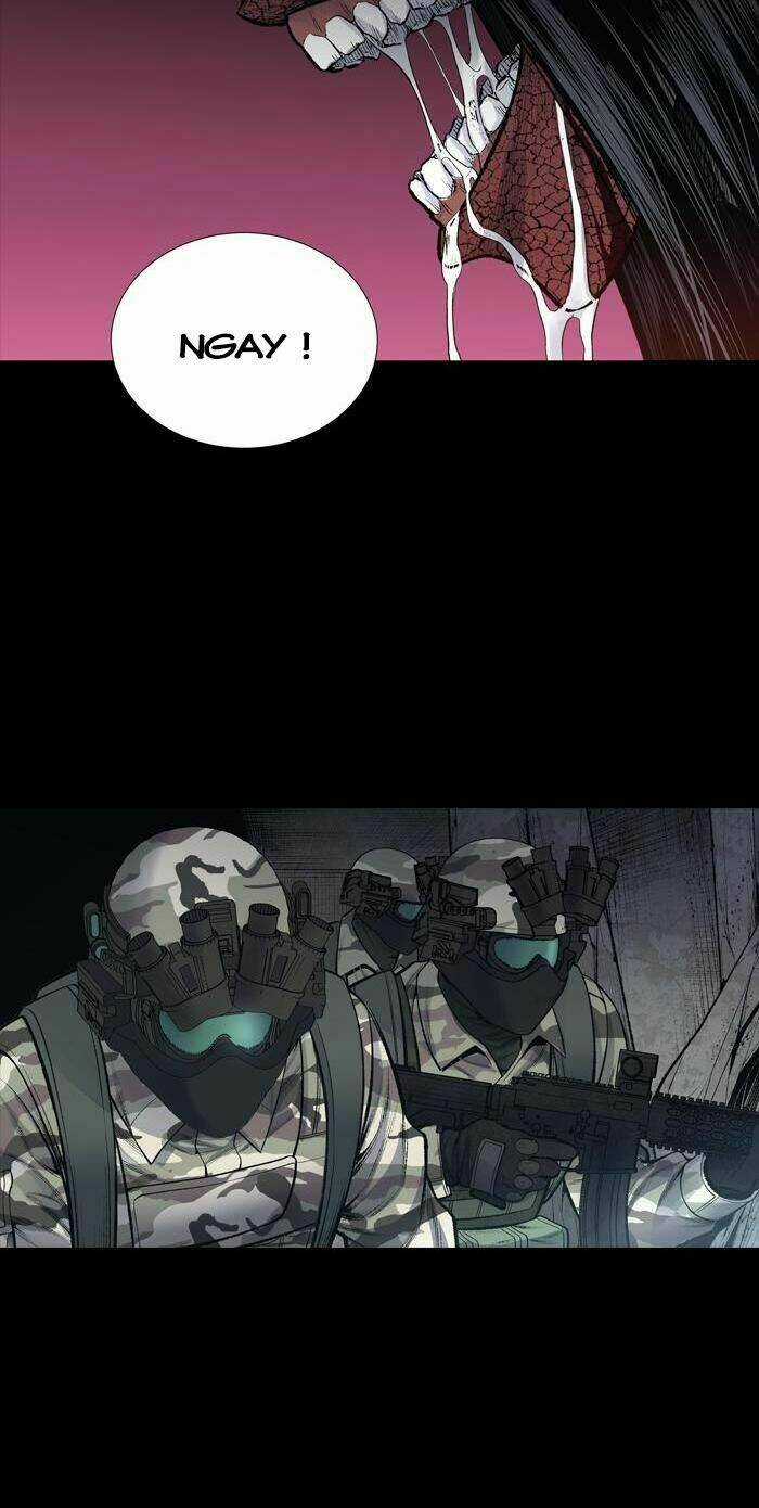 THẢM HỌA ONG ĐỘC - Chapter 236 - Trang 22