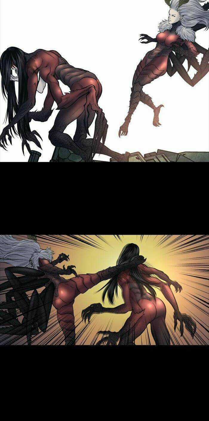 THẢM HỌA ONG ĐỘC - Chapter 237 - Trang 12