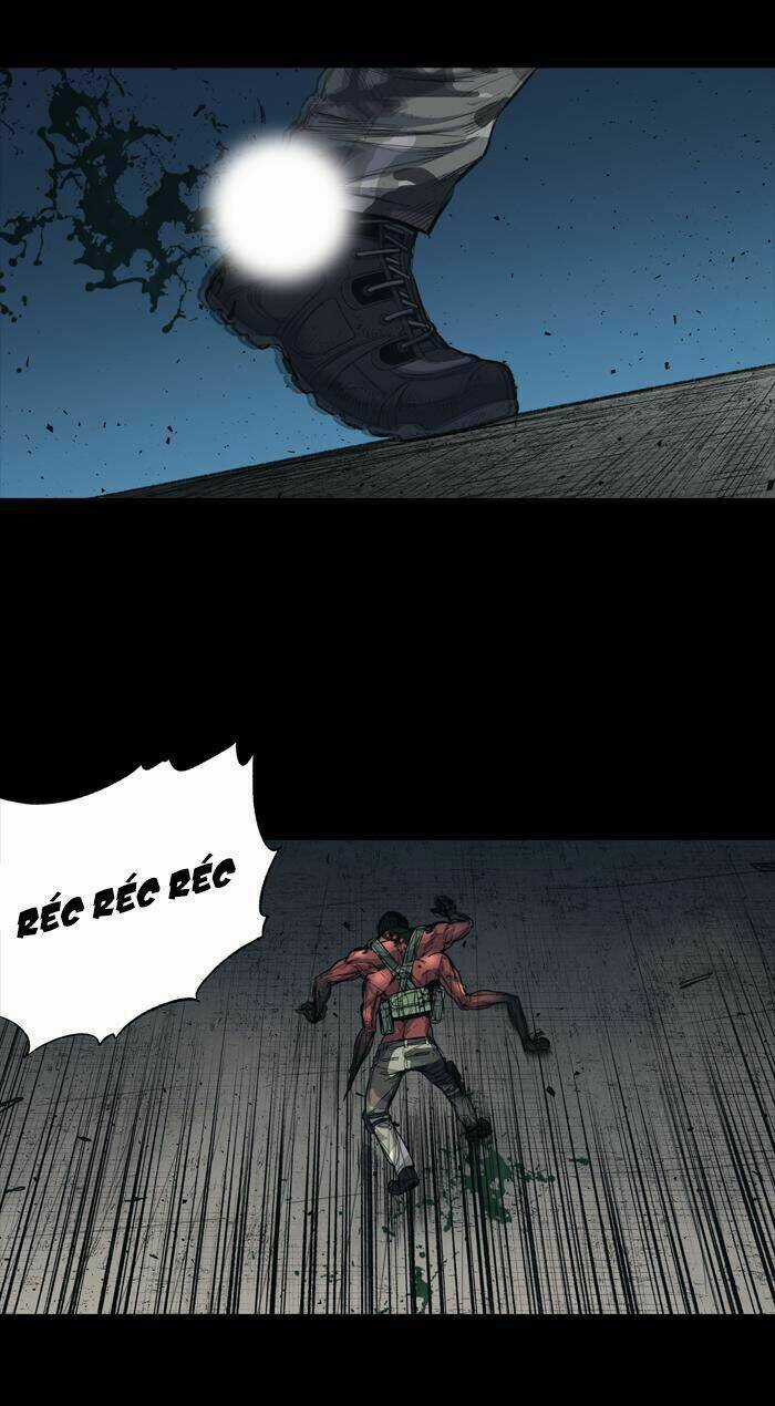 THẢM HỌA ONG ĐỘC - Chapter 239 - Trang 15