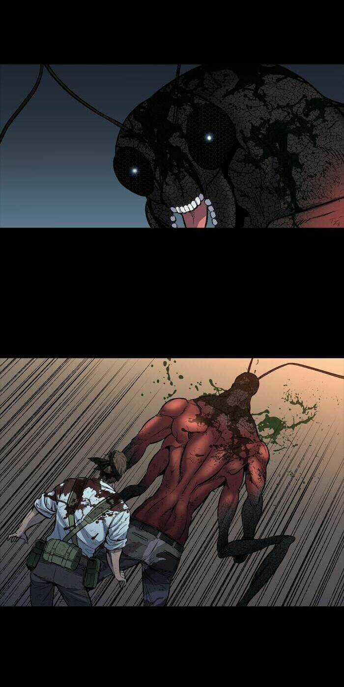 THẢM HỌA ONG ĐỘC - Chapter 240 - Trang 5