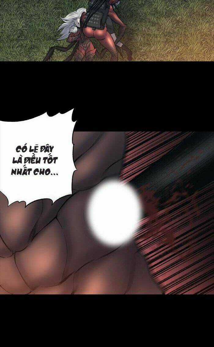 THẢM HỌA ONG ĐỘC - Chapter 241 - Trang 13