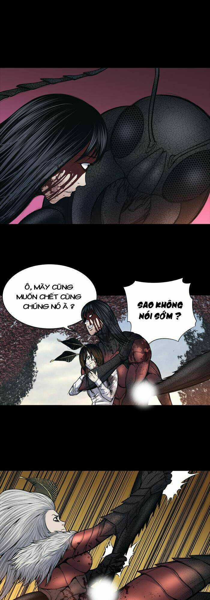 THẢM HỌA ONG ĐỘC - Chapter 241 - Trang 14