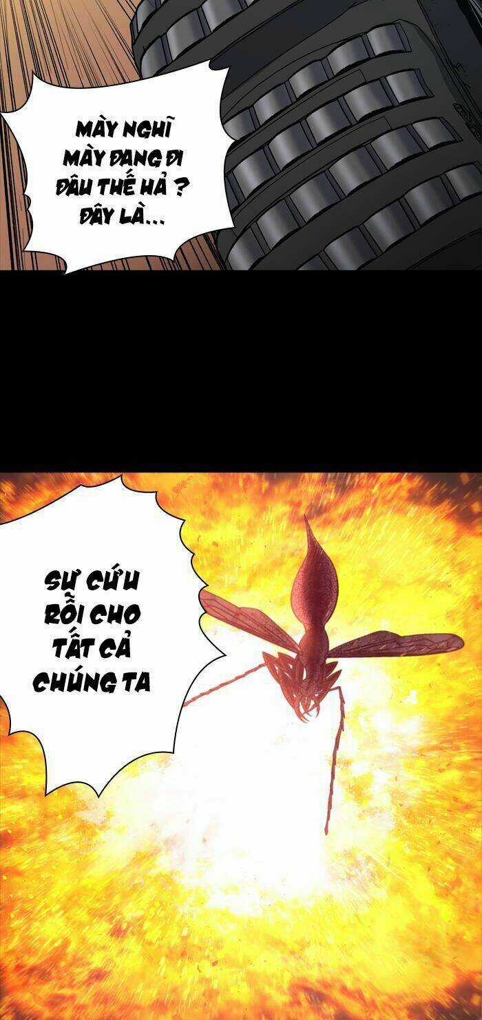 THẢM HỌA ONG ĐỘC - Chapter 241 - Trang 16