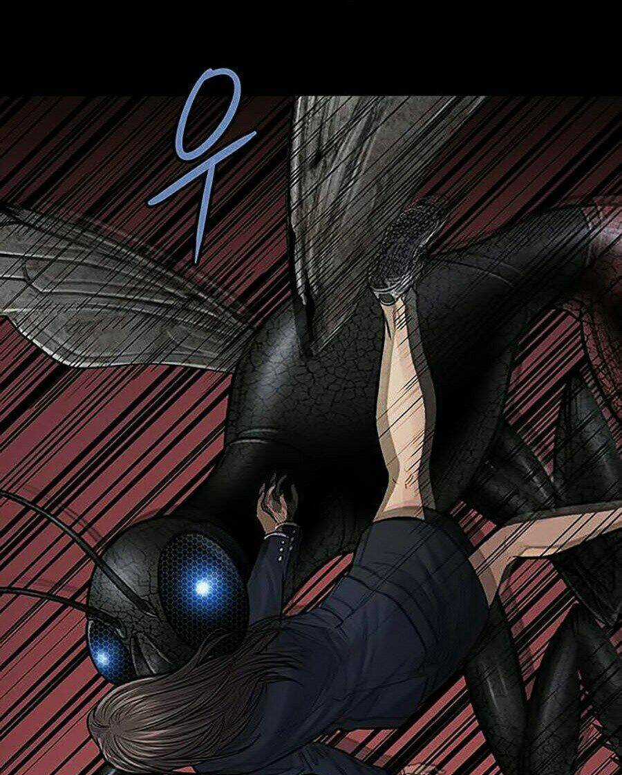 THẢM HỌA ONG ĐỘC - Chapter 244 - Trang 58