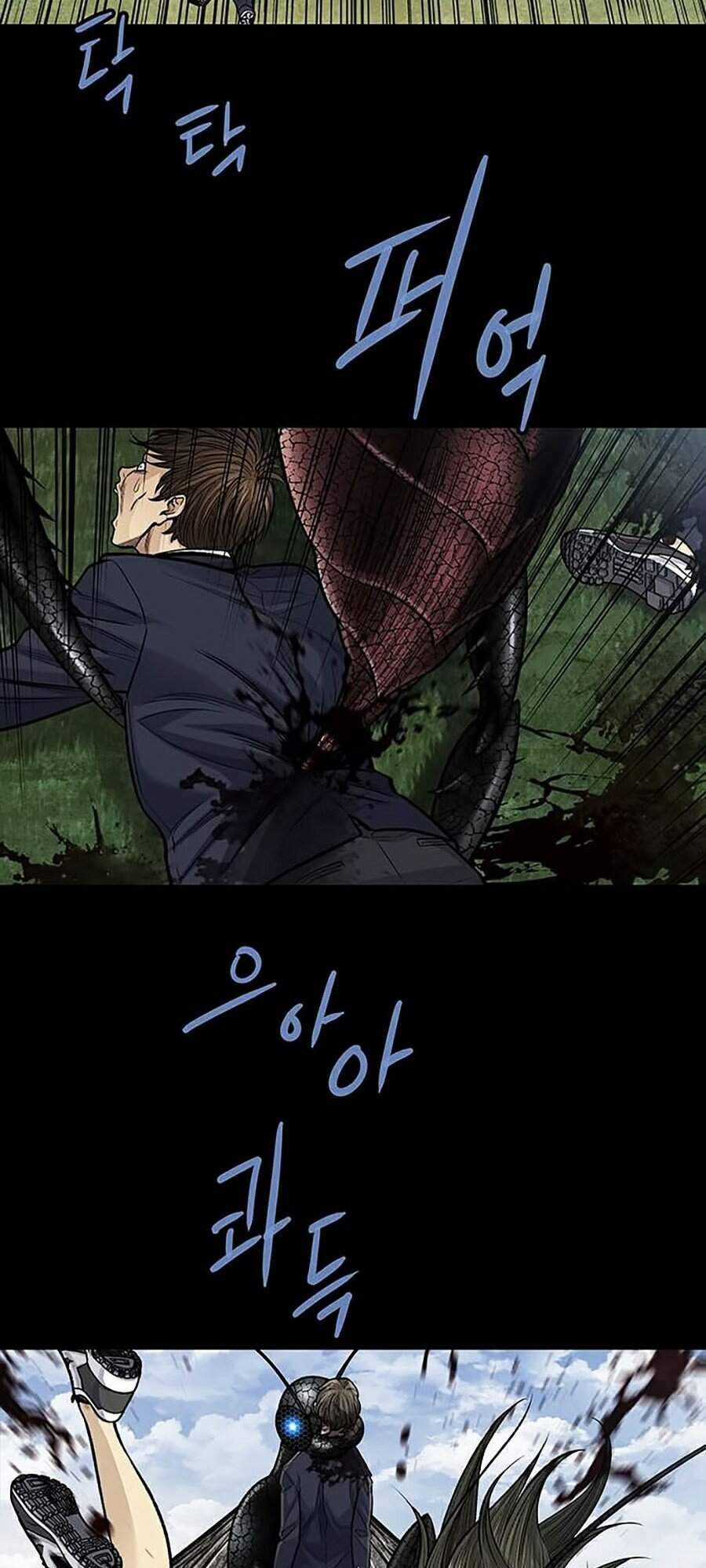 THẢM HỌA ONG ĐỘC - Chapter 245 - Trang 11