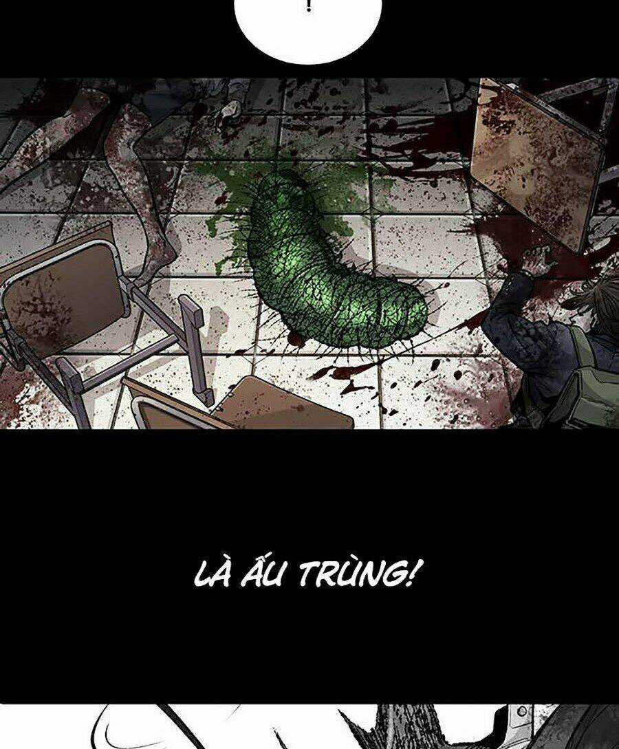 THẢM HỌA ONG ĐỘC - Chapter 247 - Trang 12