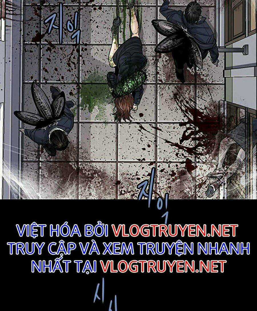 THẢM HỌA ONG ĐỘC - Chapter 247 - Trang 14