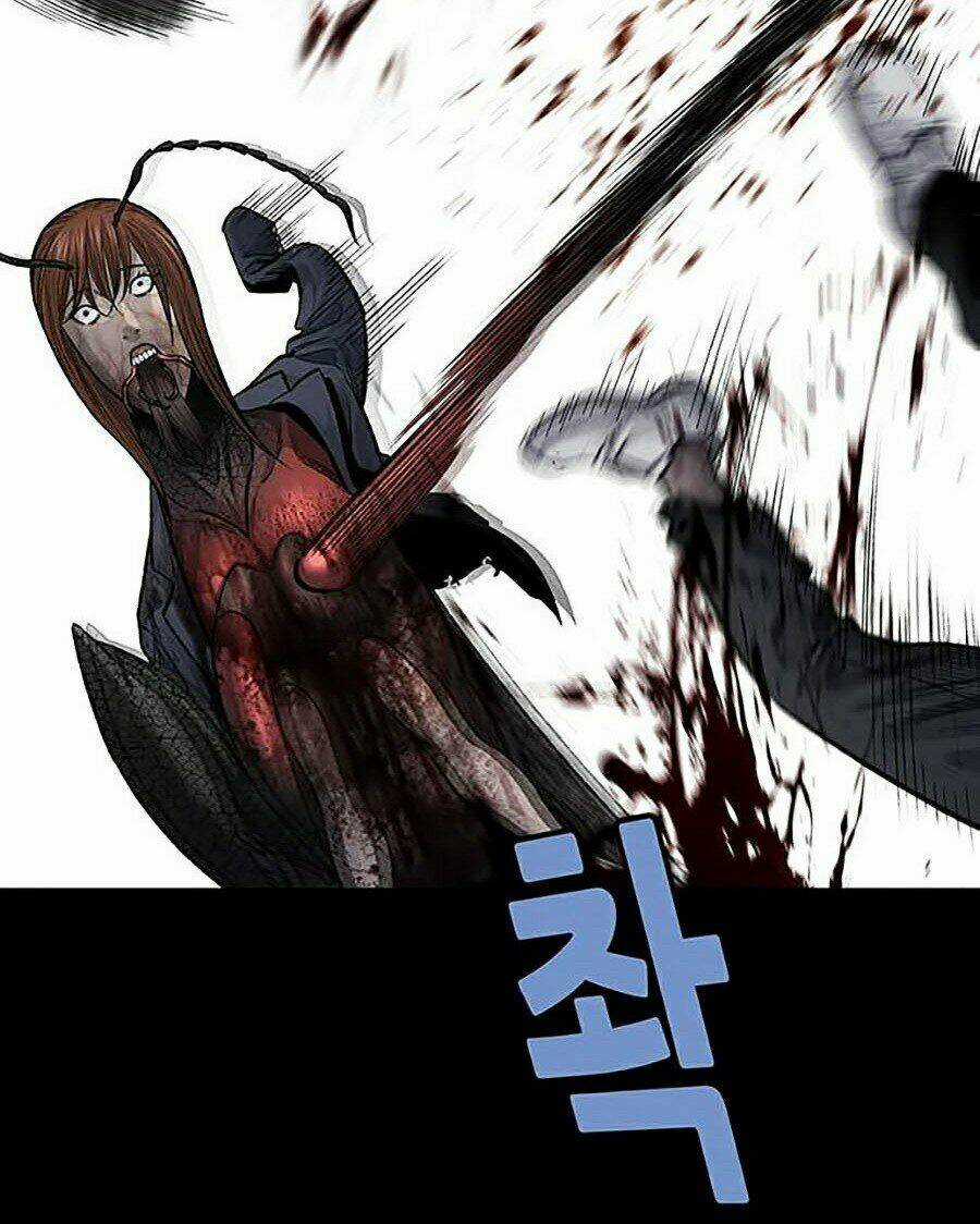 THẢM HỌA ONG ĐỘC - Chapter 250 - Trang 48