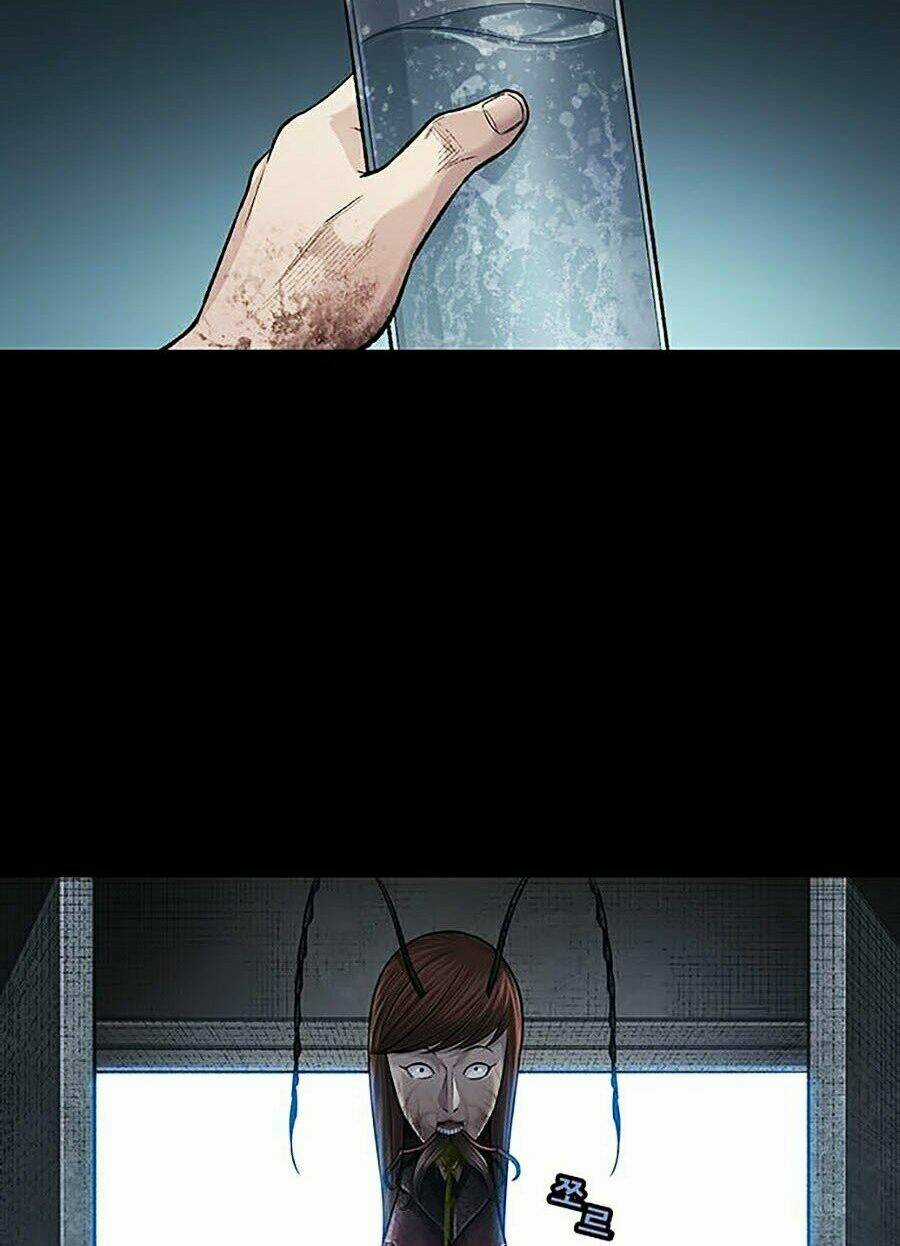 THẢM HỌA ONG ĐỘC - Chapter 250 - Trang 59