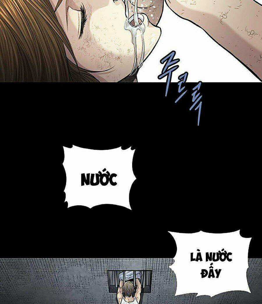 THẢM HỌA ONG ĐỘC - Chapter 252 - Trang 39