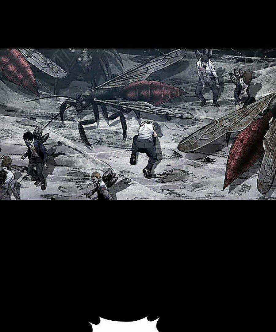 THẢM HỌA ONG ĐỘC - Chapter 254 - Trang 13