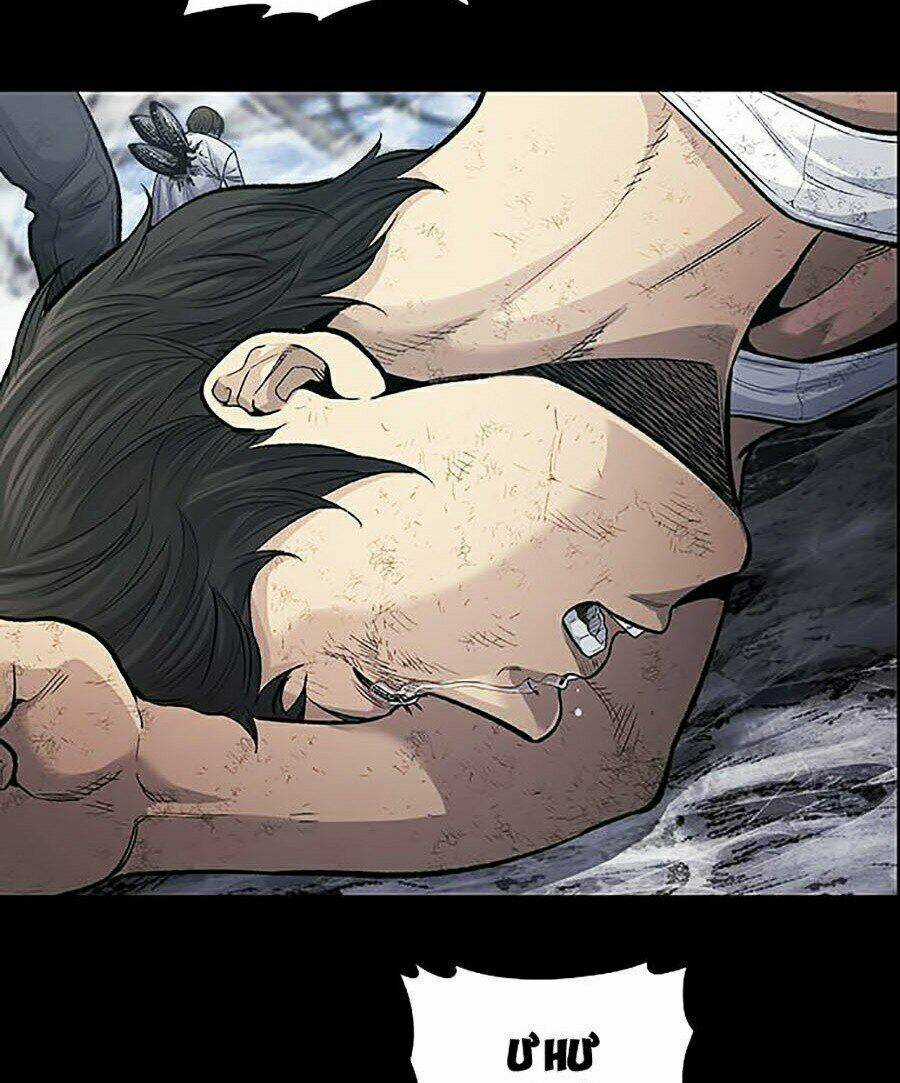 THẢM HỌA ONG ĐỘC - Chapter 254 - Trang 21