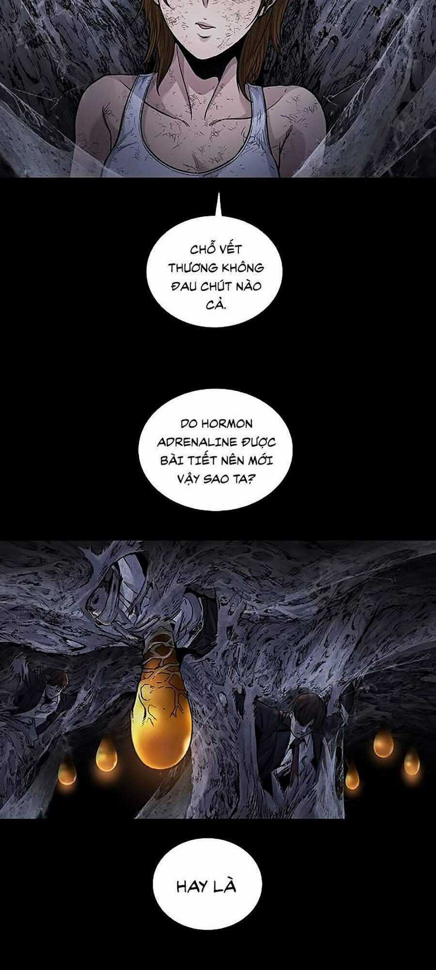 THẢM HỌA ONG ĐỘC - Chapter 255 - Trang 31