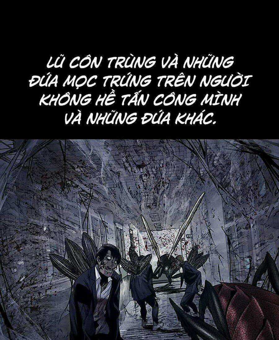 THẢM HỌA ONG ĐỘC - Chapter 259 - Trang 5