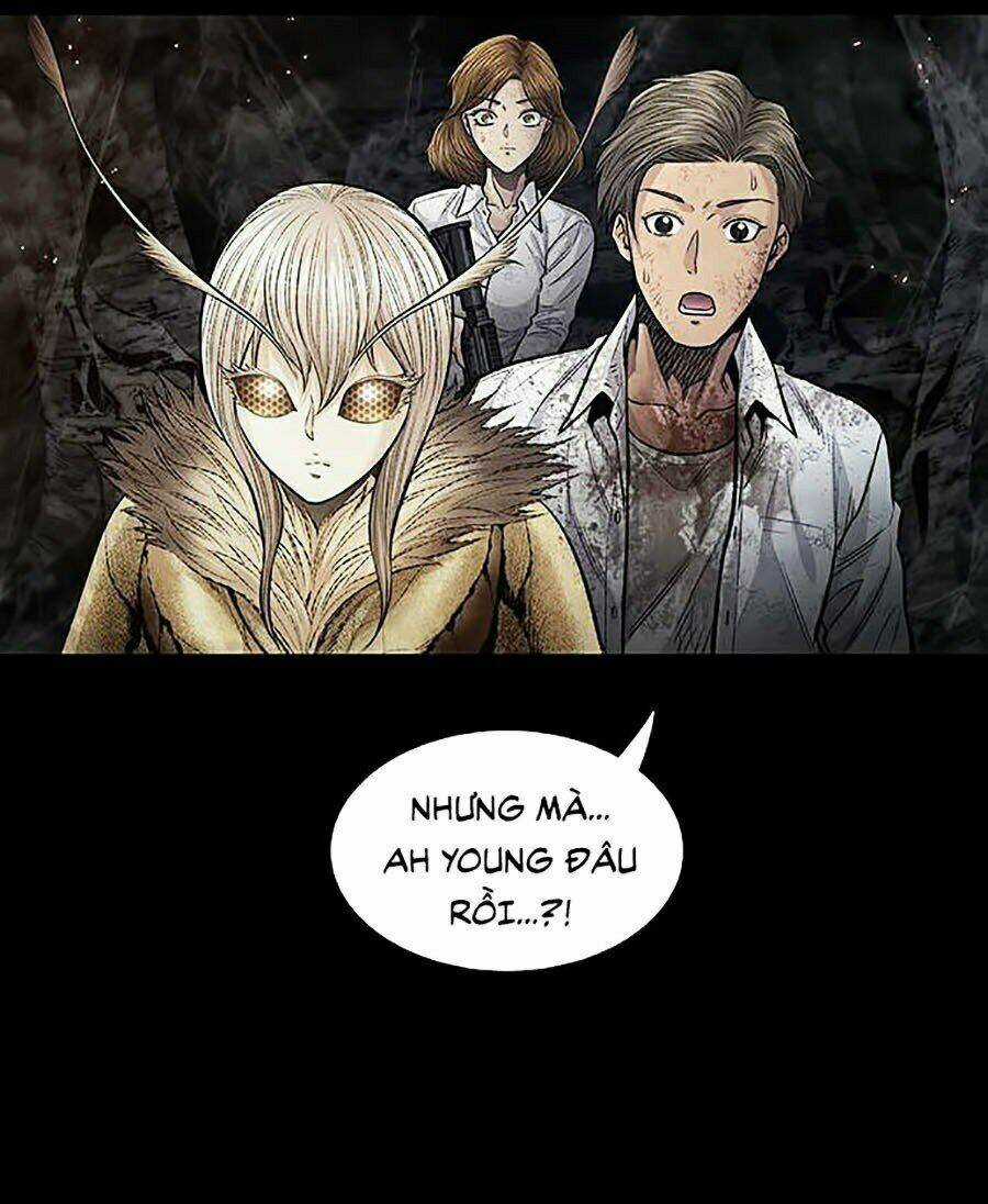 THẢM HỌA ONG ĐỘC - Chapter 263 - Trang 62