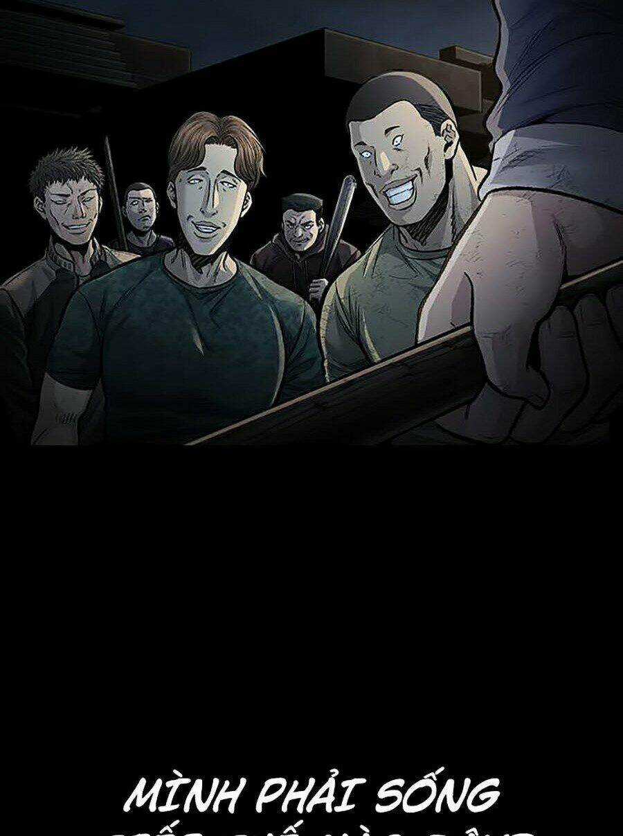 THẢM HỌA ONG ĐỘC - Chapter 265 - Trang 19