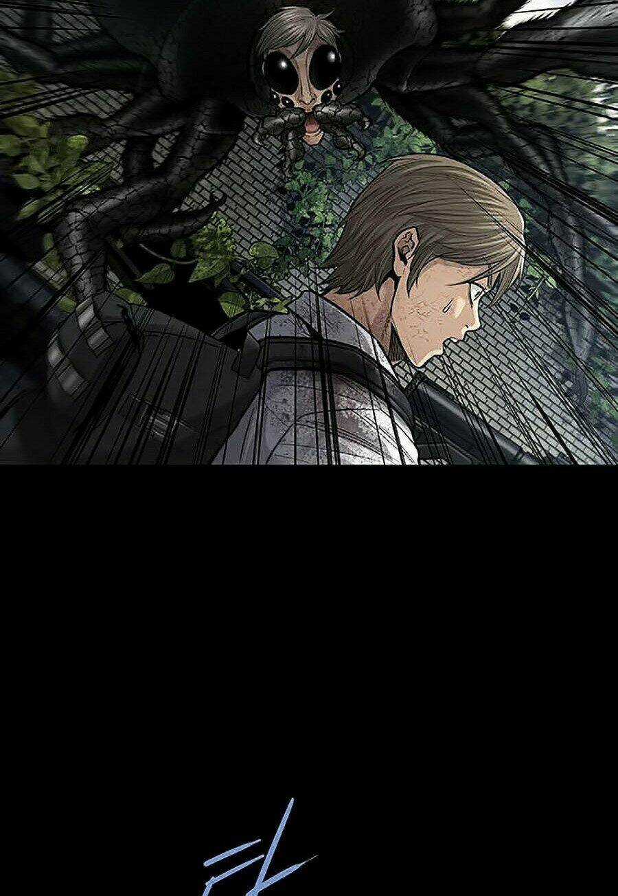 THẢM HỌA ONG ĐỘC - Chapter 266 - Trang 32