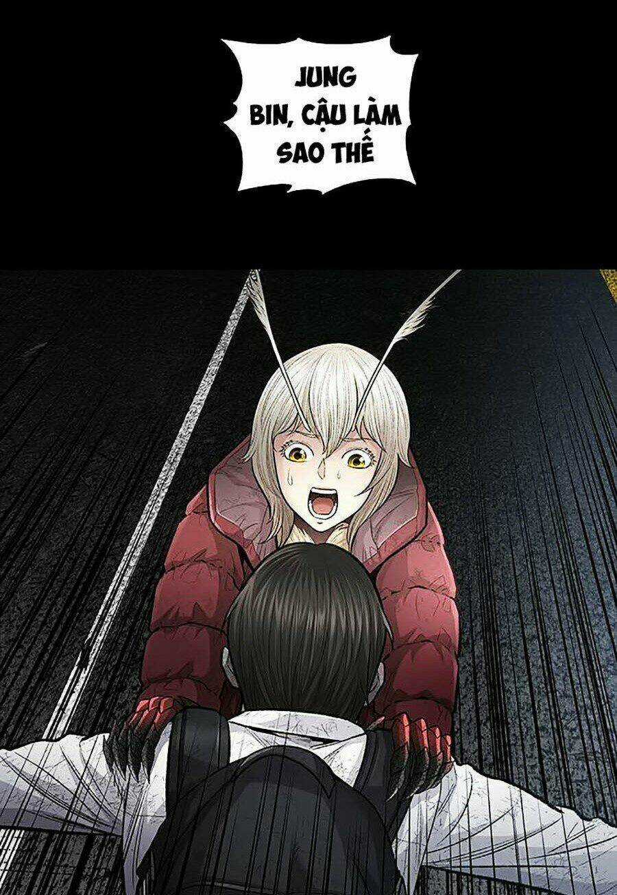 THẢM HỌA ONG ĐỘC - Chapter 266 - Trang 35