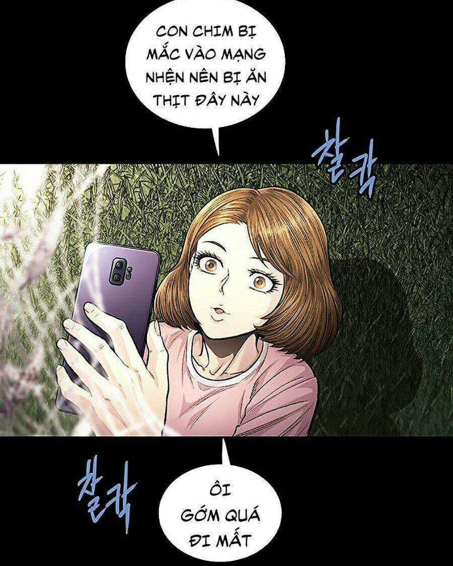 THẢM HỌA ONG ĐỘC - Chapter 269 - Trang 5