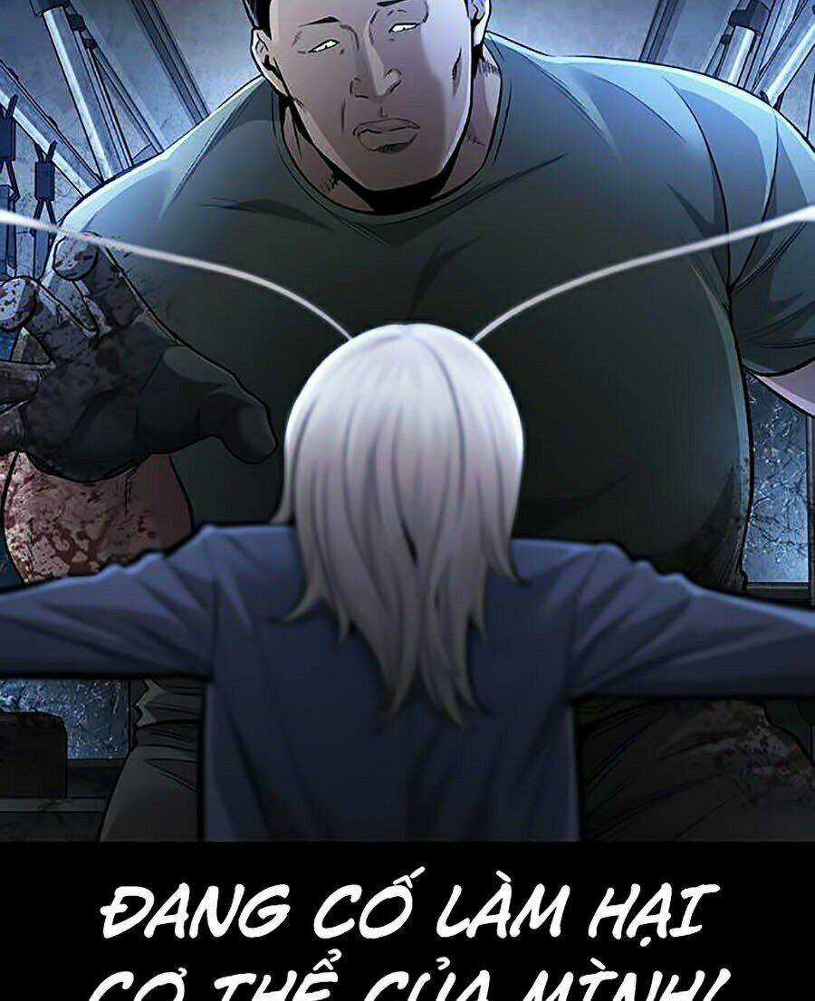 THẢM HỌA ONG ĐỘC - Chapter 271 - Trang 15