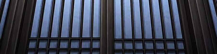 THẢM HỌA ONG ĐỘC - Chapter 277 - Trang 72