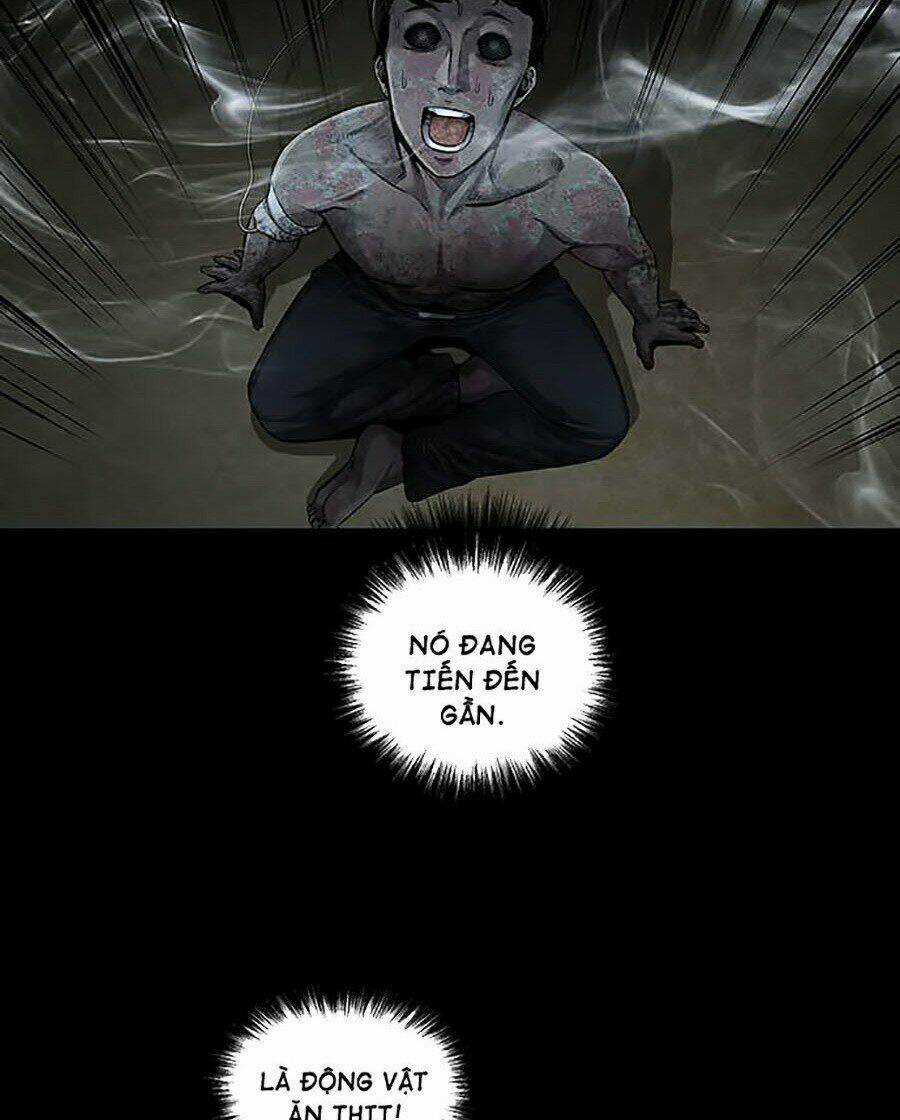 THẢM HỌA ONG ĐỘC - Chapter 279 - Trang 51