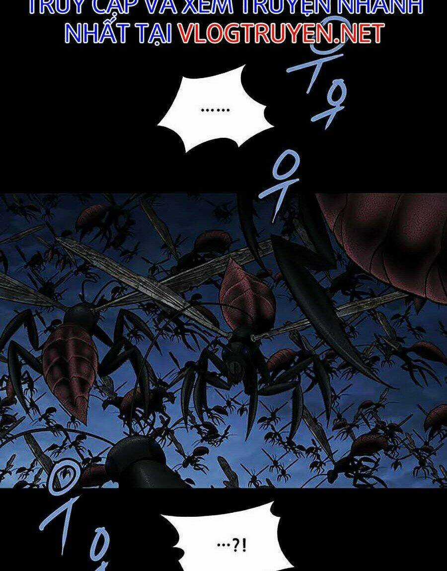 THẢM HỌA ONG ĐỘC - Chapter 282 - Trang 37