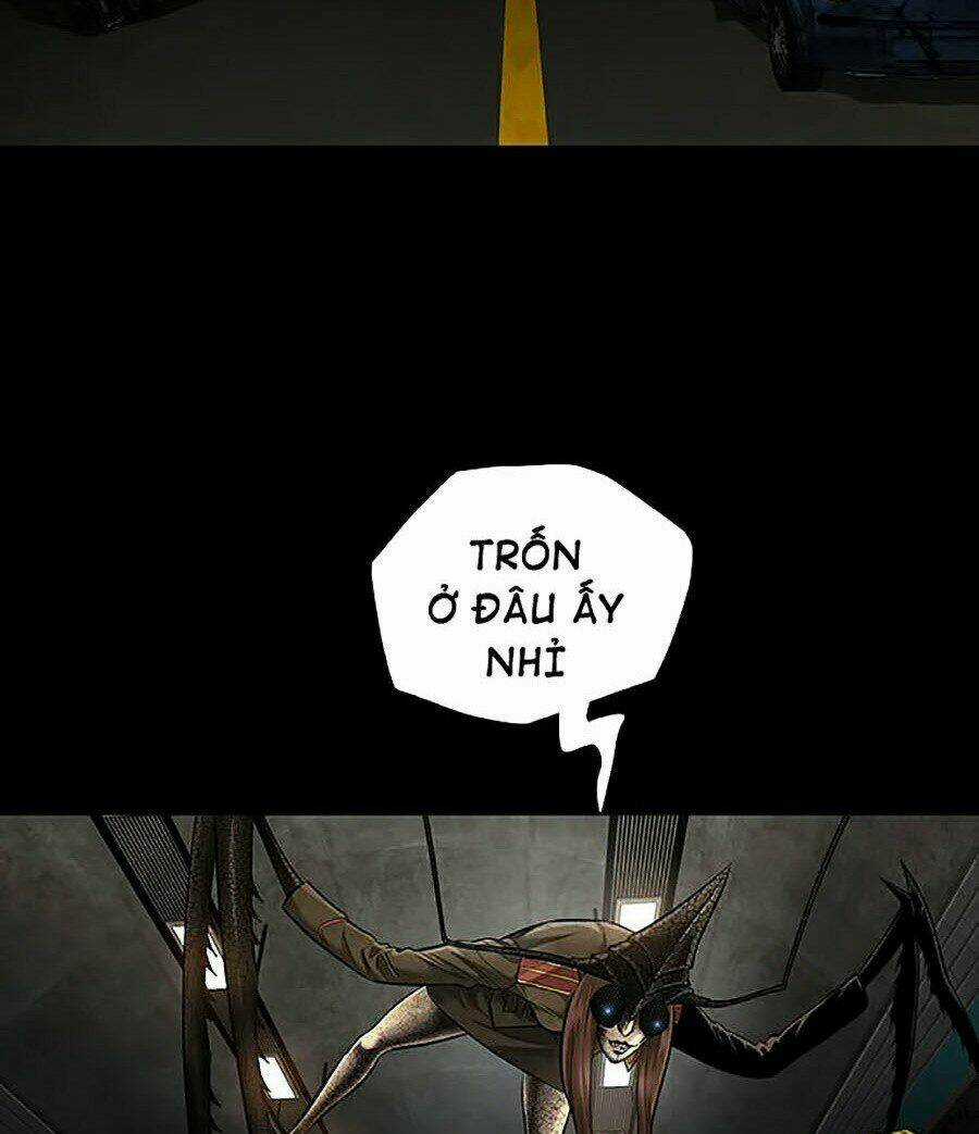 THẢM HỌA ONG ĐỘC - Chapter 282 - Trang 51